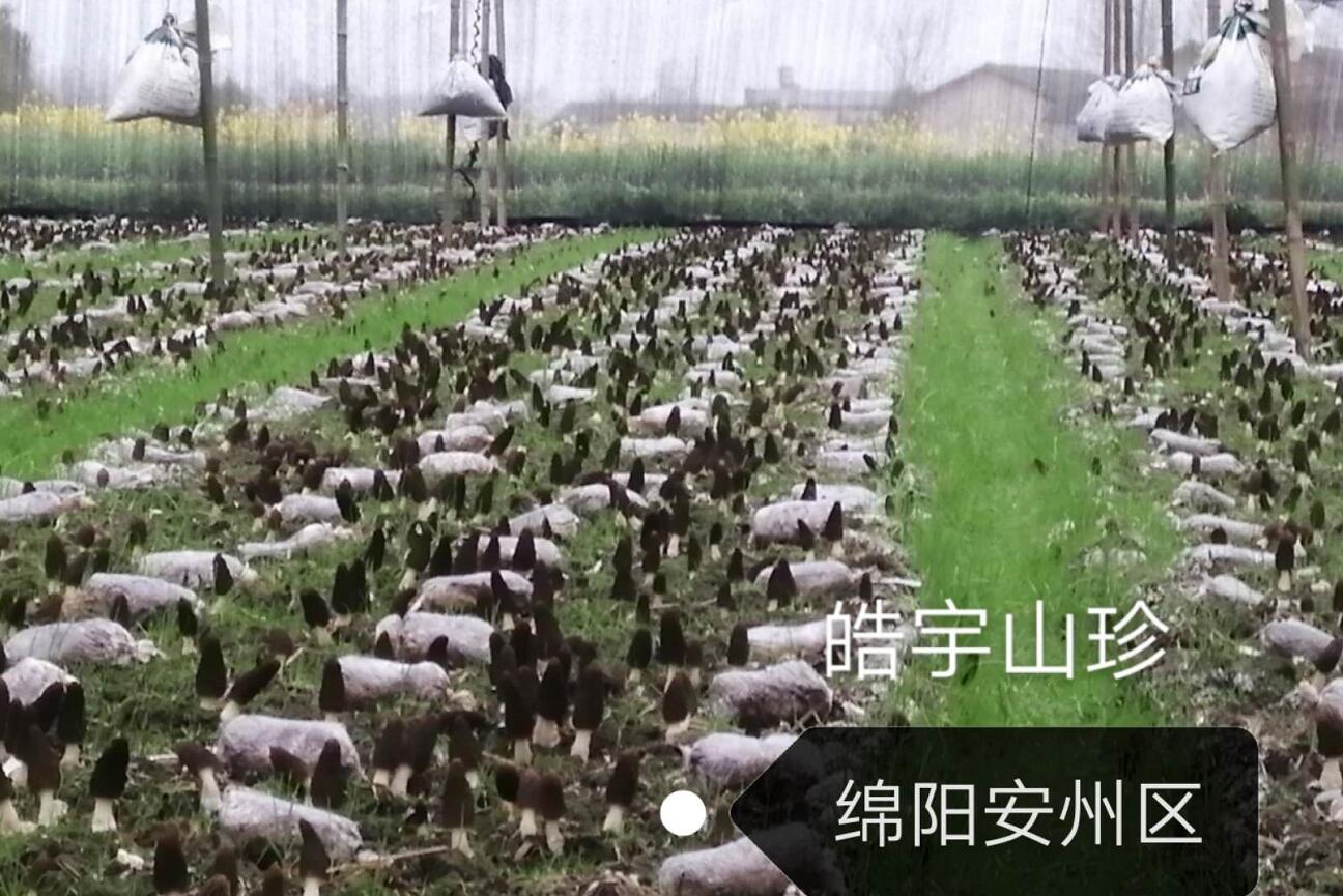 &#40857;&#56;&#45;&#108;&#111;&#110;&#103;&#56;&#40;&#20013;&#22269;&#41;&#21807;&#19968;&#23448;&#26041;&#32593;&#31449;&#45;&#31185;&#25216;&#39046;&#33322;&#31449;