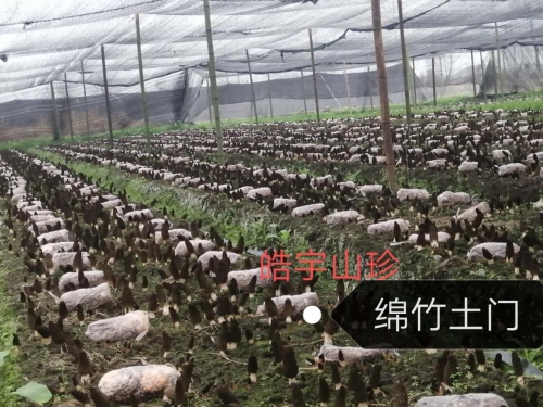 &#40857;&#56;&#45;&#108;&#111;&#110;&#103;&#56;&#40;&#20013;&#22269;&#41;&#21807;&#19968;&#23448;&#26041;&#32593;&#31449;&#45;&#31185;&#25216;&#39046;&#33322;&#31449;