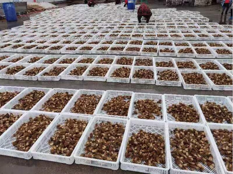 &#40857;&#56;&#45;&#108;&#111;&#110;&#103;&#56;&#40;&#20013;&#22269;&#41;&#21807;&#19968;&#23448;&#26041;&#32593;&#31449;&#45;&#31185;&#25216;&#39046;&#33322;&#31449;