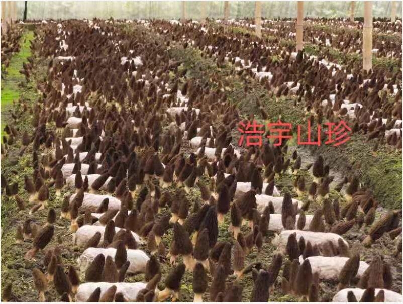 &#40857;&#56;&#45;&#108;&#111;&#110;&#103;&#56;&#40;&#20013;&#22269;&#41;&#21807;&#19968;&#23448;&#26041;&#32593;&#31449;&#45;&#31185;&#25216;&#39046;&#33322;&#31449;