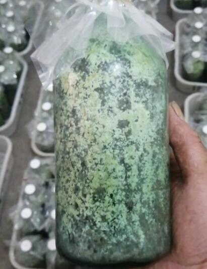 &#40857;&#56;&#45;&#108;&#111;&#110;&#103;&#56;&#40;&#20013;&#22269;&#41;&#21807;&#19968;&#23448;&#26041;&#32593;&#31449;&#45;&#31185;&#25216;&#39046;&#33322;&#31449;
