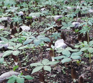 &#40857;&#56;&#45;&#108;&#111;&#110;&#103;&#56;&#40;&#20013;&#22269;&#41;&#21807;&#19968;&#23448;&#26041;&#32593;&#31449;&#45;&#31185;&#25216;&#39046;&#33322;&#31449;