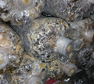 &#40857;&#56;&#45;&#108;&#111;&#110;&#103;&#56;&#40;&#20013;&#22269;&#41;&#21807;&#19968;&#23448;&#26041;&#32593;&#31449;&#45;&#31185;&#25216;&#39046;&#33322;&#31449;