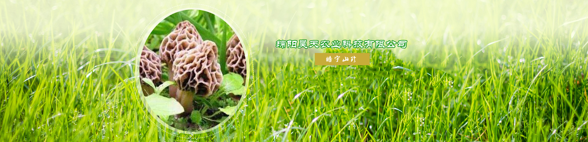 &#40857;&#56;&#45;&#108;&#111;&#110;&#103;&#56;&#40;&#20013;&#22269;&#41;&#21807;&#19968;&#23448;&#26041;&#32593;&#31449;&#45;&#31185;&#25216;&#39046;&#33322;&#31449;