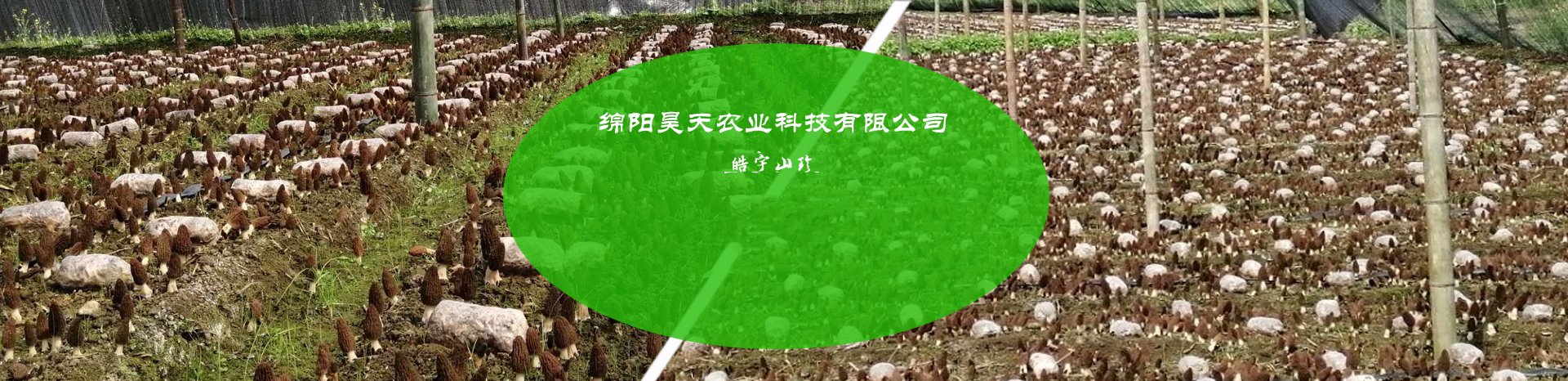 &#40857;&#56;&#45;&#108;&#111;&#110;&#103;&#56;&#40;&#20013;&#22269;&#41;&#21807;&#19968;&#23448;&#26041;&#32593;&#31449;&#45;&#31185;&#25216;&#39046;&#33322;&#31449;