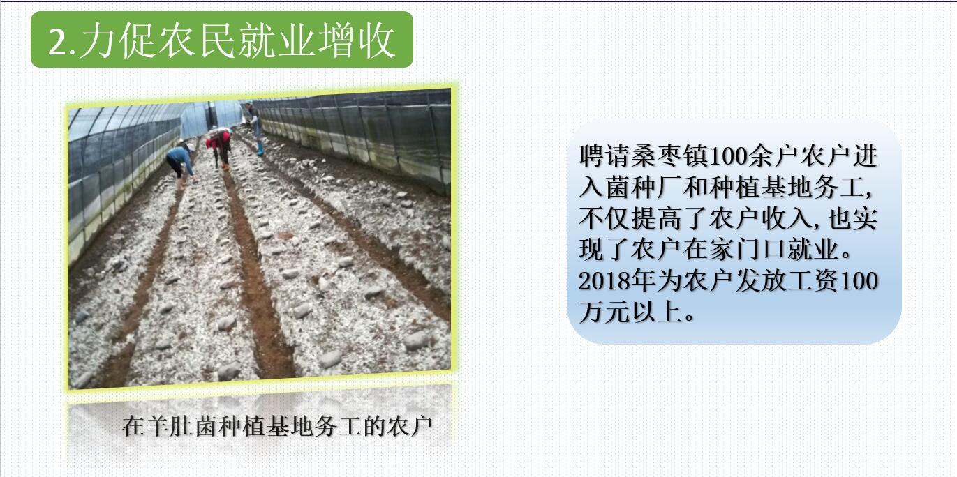&#40857;&#56;&#45;&#108;&#111;&#110;&#103;&#56;&#40;&#20013;&#22269;&#41;&#21807;&#19968;&#23448;&#26041;&#32593;&#31449;&#45;&#31185;&#25216;&#39046;&#33322;&#31449;