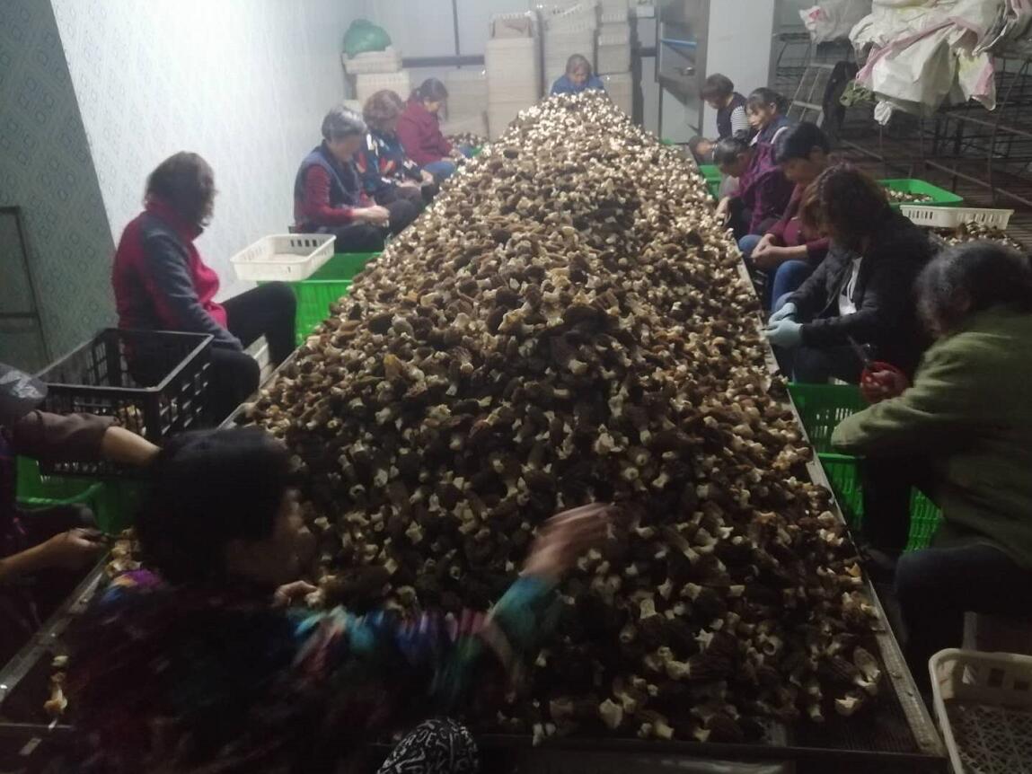 &#40857;&#56;&#45;&#108;&#111;&#110;&#103;&#56;&#40;&#20013;&#22269;&#41;&#21807;&#19968;&#23448;&#26041;&#32593;&#31449;&#45;&#31185;&#25216;&#39046;&#33322;&#31449;