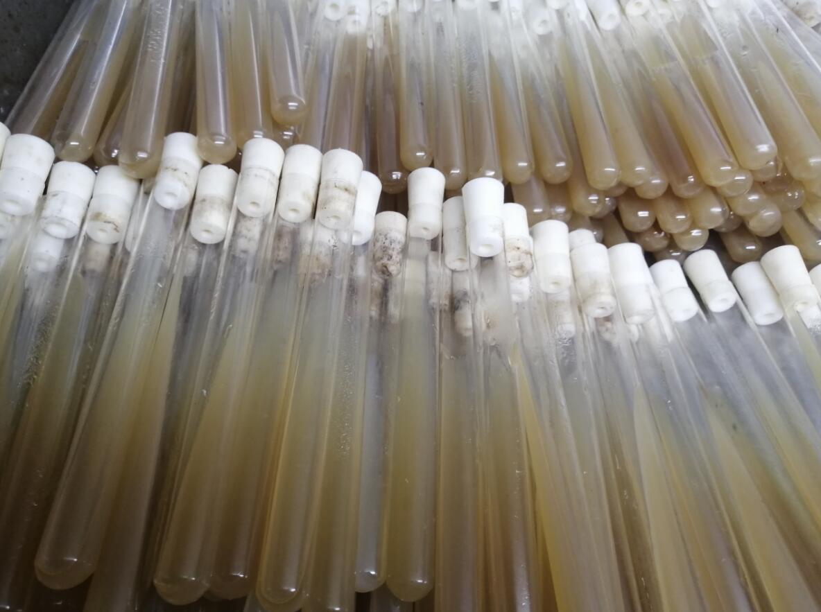 &#40857;&#56;&#45;&#108;&#111;&#110;&#103;&#56;&#40;&#20013;&#22269;&#41;&#21807;&#19968;&#23448;&#26041;&#32593;&#31449;&#45;&#31185;&#25216;&#39046;&#33322;&#31449;