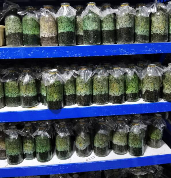 &#40857;&#56;&#45;&#108;&#111;&#110;&#103;&#56;&#40;&#20013;&#22269;&#41;&#21807;&#19968;&#23448;&#26041;&#32593;&#31449;&#45;&#31185;&#25216;&#39046;&#33322;&#31449;