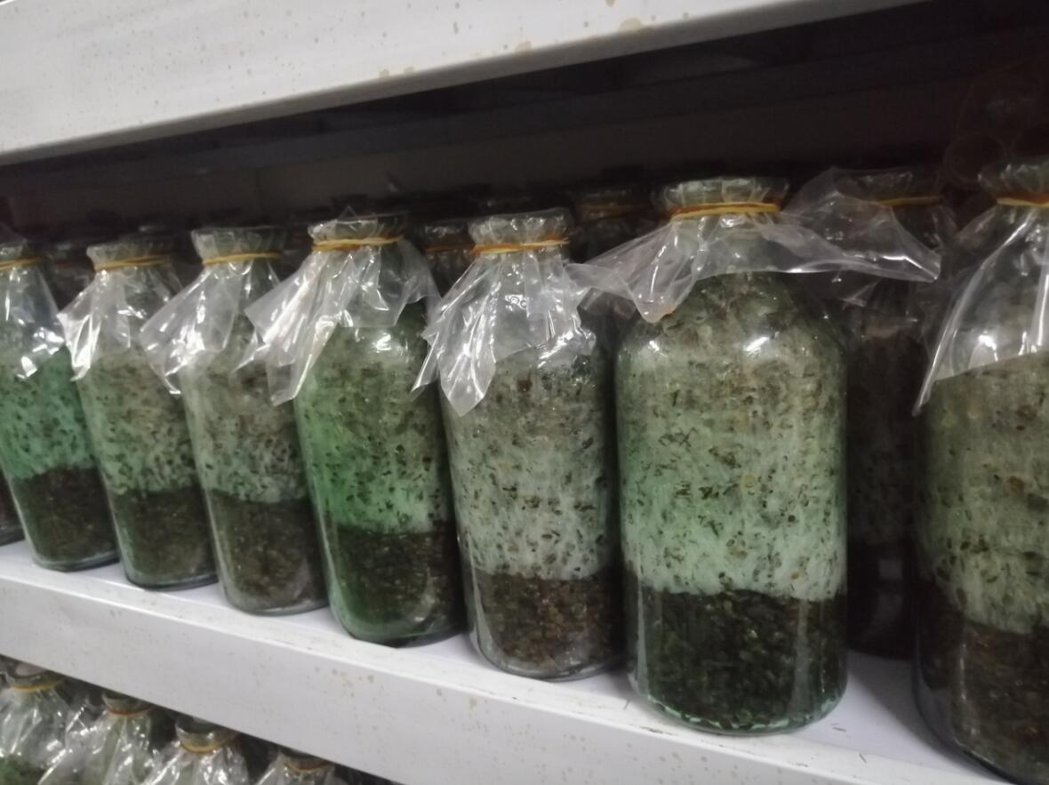 &#40857;&#56;&#45;&#108;&#111;&#110;&#103;&#56;&#40;&#20013;&#22269;&#41;&#21807;&#19968;&#23448;&#26041;&#32593;&#31449;&#45;&#31185;&#25216;&#39046;&#33322;&#31449;
