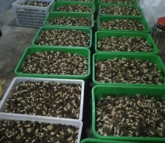 &#40857;&#56;&#45;&#108;&#111;&#110;&#103;&#56;&#40;&#20013;&#22269;&#41;&#21807;&#19968;&#23448;&#26041;&#32593;&#31449;&#45;&#31185;&#25216;&#39046;&#33322;&#31449;